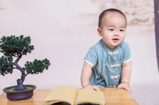 广州代怀试管生子可爱的企鹅宝宝